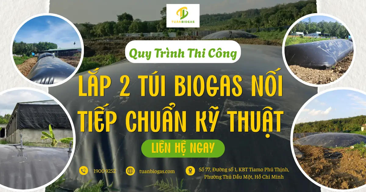 Quy Trình Thi Công Lắp Đặt 2 Túi Biogas Nối Tiếp Chuẩn Kỹ Thuật Cho Trang Trại & Lò Mổ